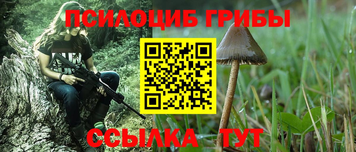 Псилоцибиновые грибы мухоморы Луга