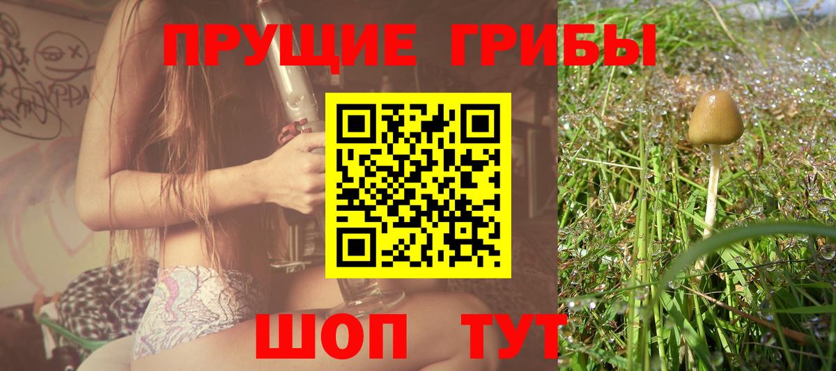 Псилоцибиновые грибы мухоморы  Вход с VPN  где найти наркотики  Псилоцибиновые грибы мухоморы  Луга 